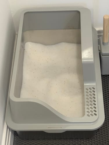 Customer photo review of 3 Month Supply - 1 Cat