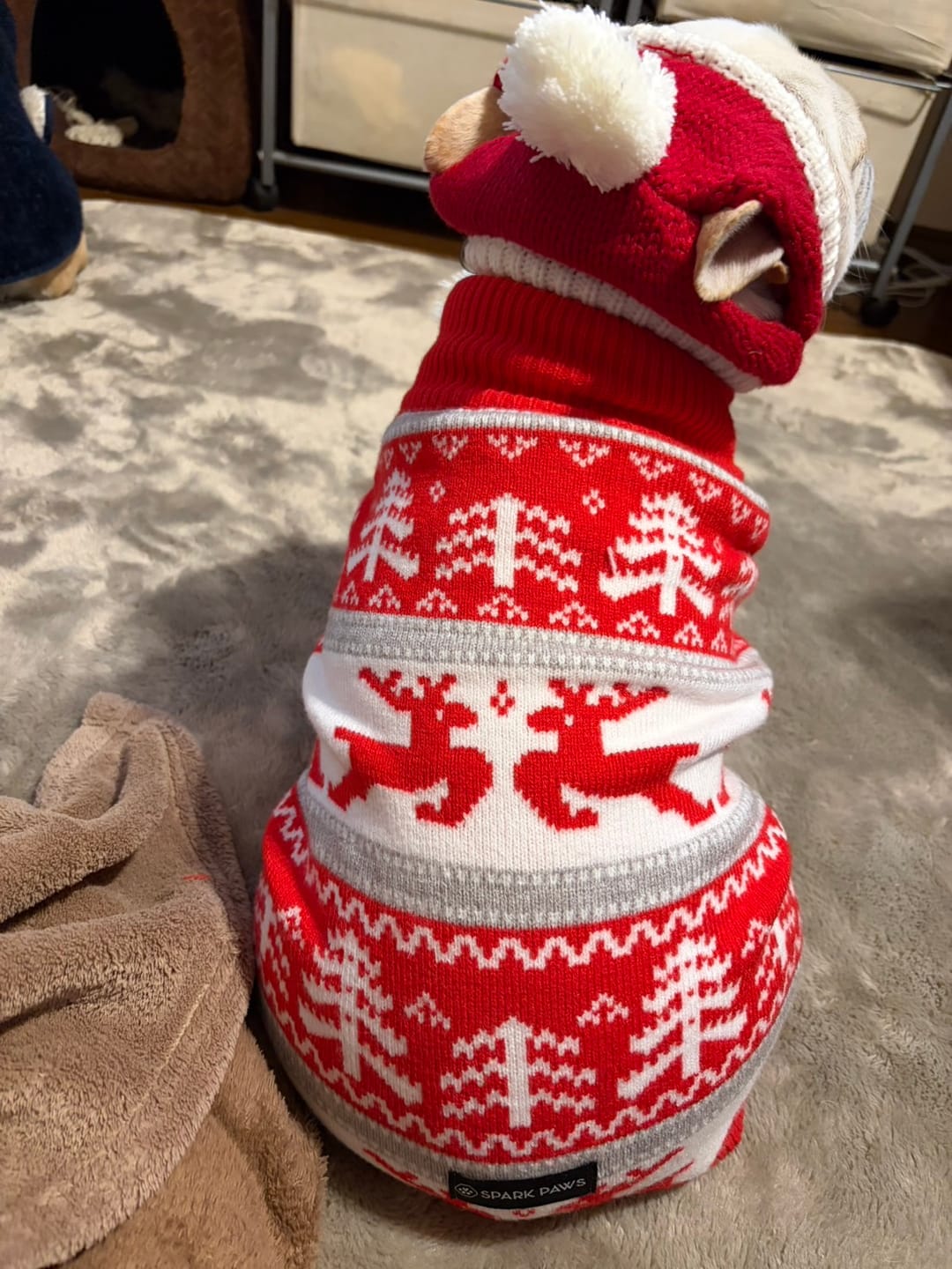 Customer photo review of Christmas Knit Dog Sweater