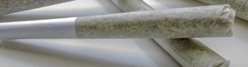 Customer photo review of 🪙 Super Silver Haze Prerolls - POWER LVL: 4/5