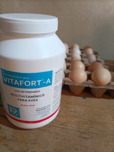 Customer photo review of Vitafort®Postura