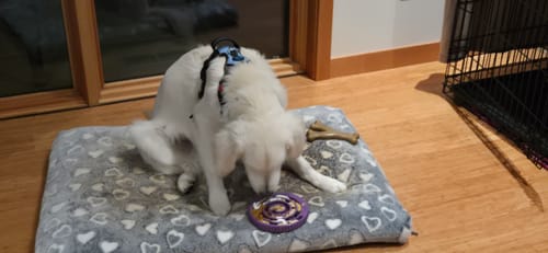 Customer photo review of FreezSwirl - Durable Stimulation Toy