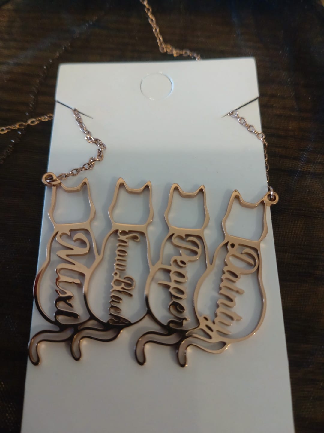 Customer photo review of Custom Cat Name Necklace