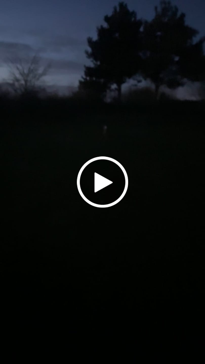 Customer video review of TrekBright® Dog Safety Light