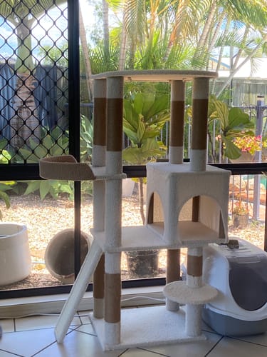 Customer photo review of Ona's Cottage Multi-Tier Cat Tree with Cat Scratching Posts