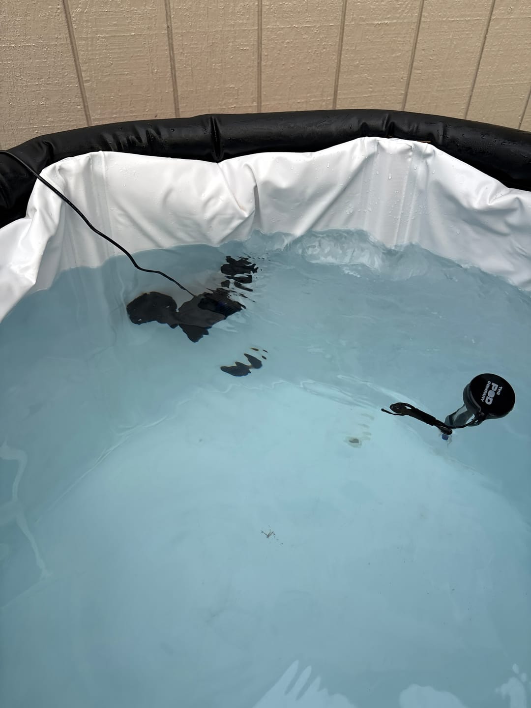 Customer photo review of Water Circulation Jet