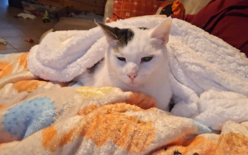 Customer photo review of Hooman Blankie - Curly Club Collection