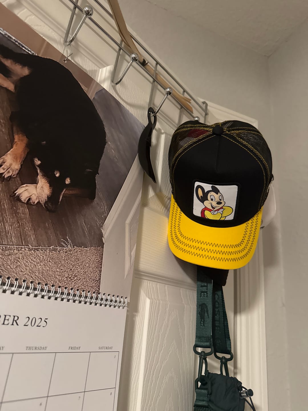 Customer photo review of OVERLORD X Mighty Mouse: Mighty Mouse Trucker Cap