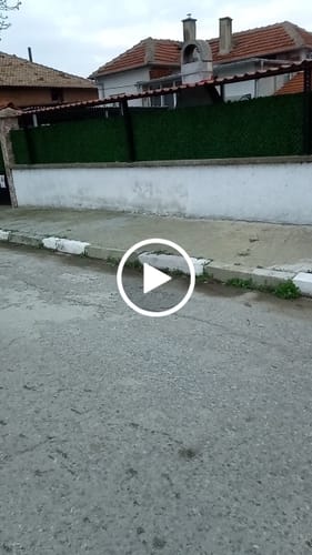 Customer video review of Декоративна мрежа "Жив плет"