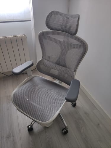 Customer photo review of Sihoo Doro C300 Ergonomic Office Chair