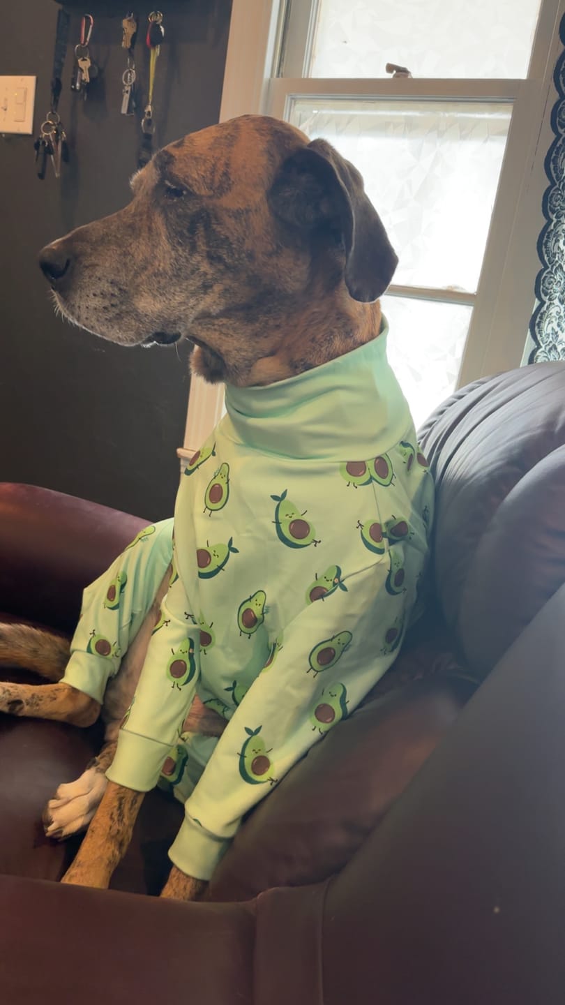 Customer photo review of Dog Pajama - Avocado