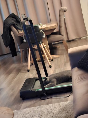 Customer photo review of Dreaver S340 Loopband