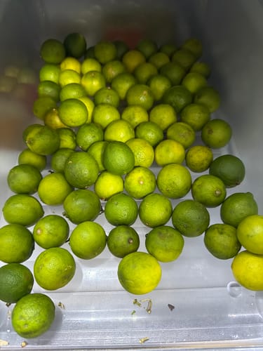 Customer photo review of Organic Key Limes 5 lbs