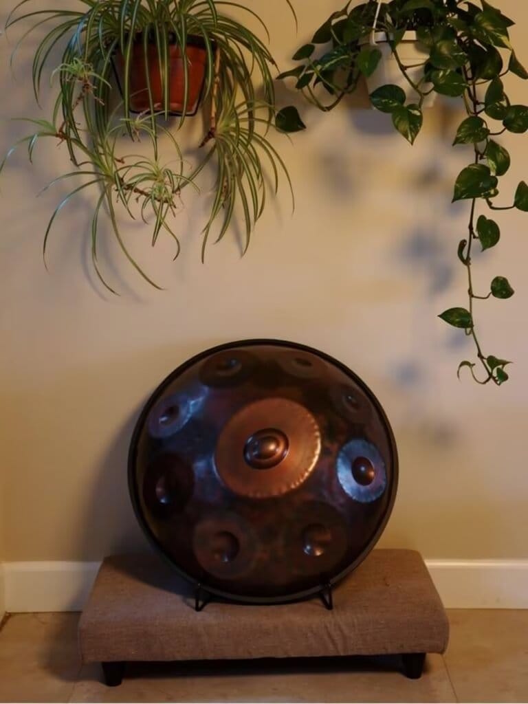 Customer photo review of Cosmos Handpan - Gerbera, 9/10/12 Notes in D Minor - Tambourine Gift Set