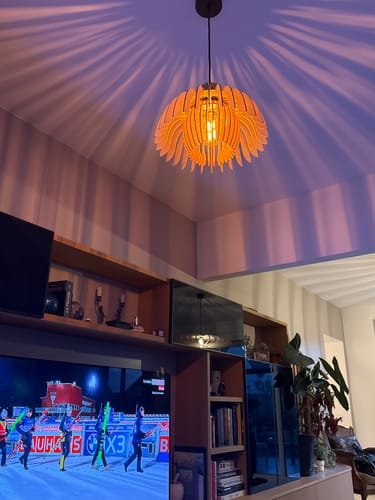 Customer photo review of Tullia | Suspension