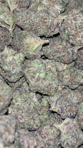 Customer photo review of Jolly Ranchers - Bulk - Indica
