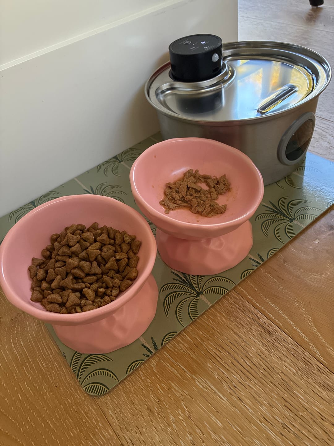 Customer photo review of Tilting Ceramic Cat Bowls With Uneven Texture