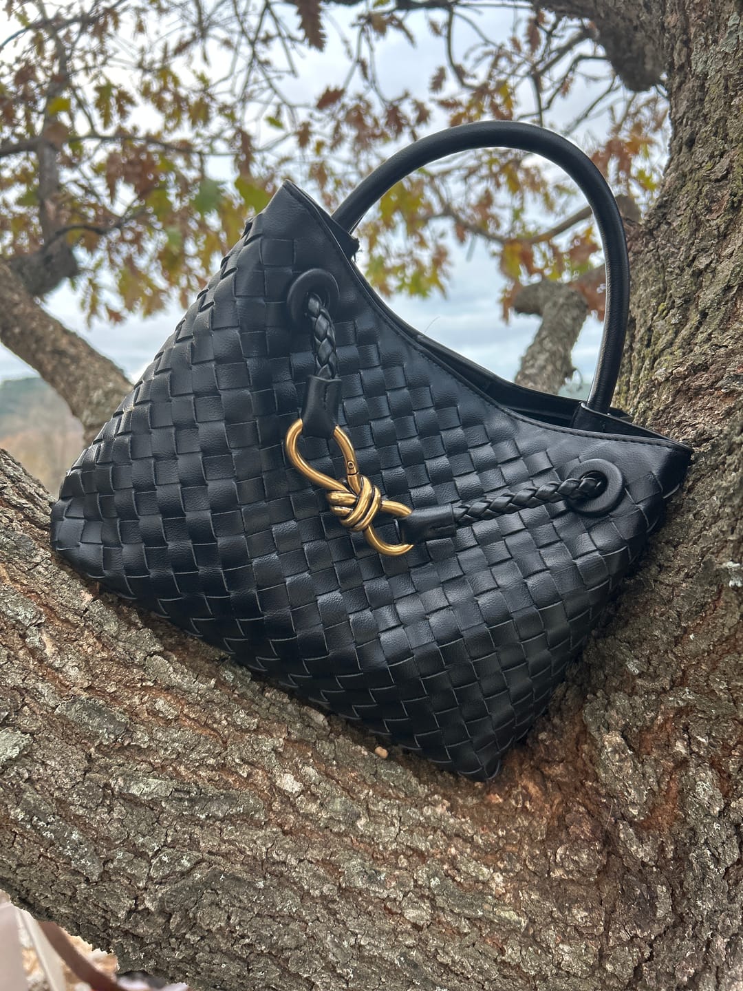 Customer photo review of Lucia Woven Bag