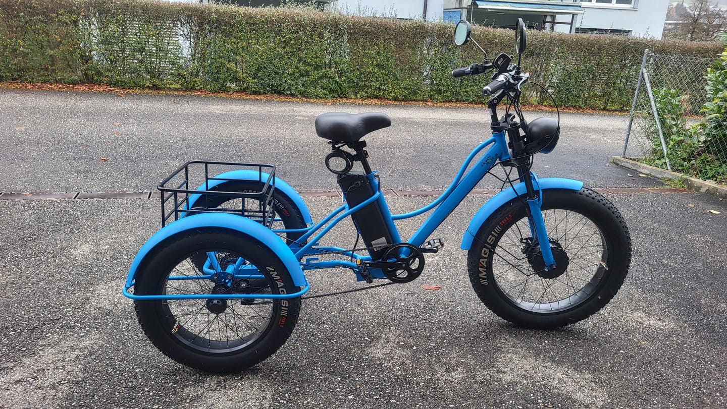 Customer photo review of Vélo Électrique 3 Roues Fat Bike – Treefat 2