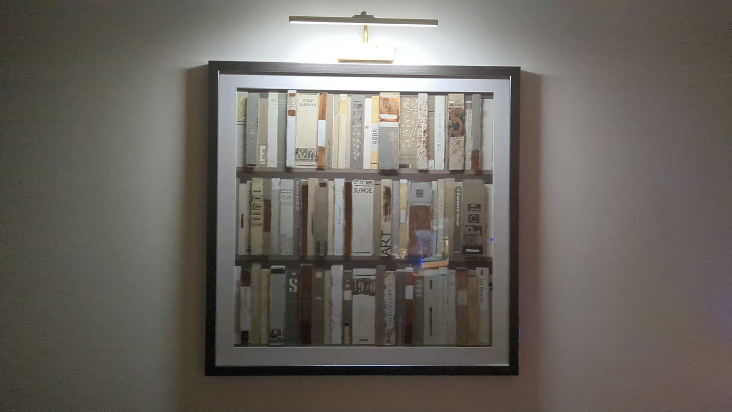Customer photo review of The Library By Sabrina Roscino
