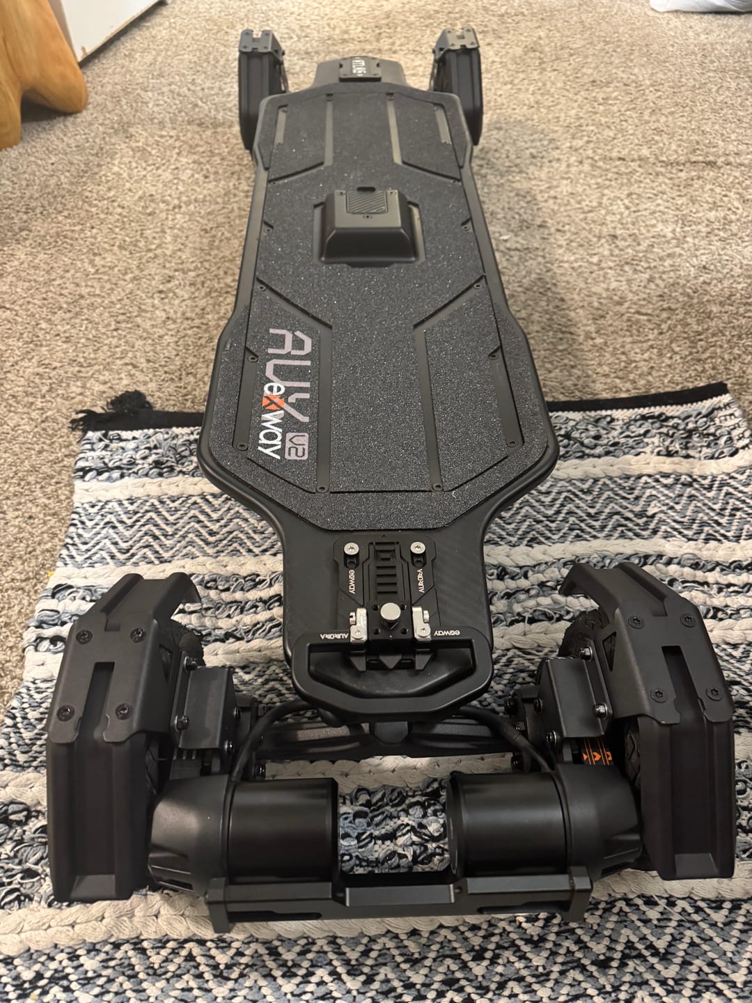 Customer photo review of Exway Atlas V2