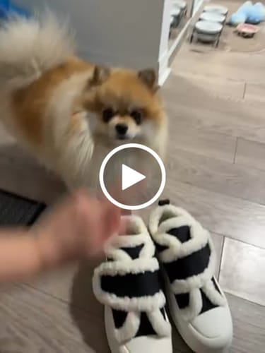Customer video review of Leora Black