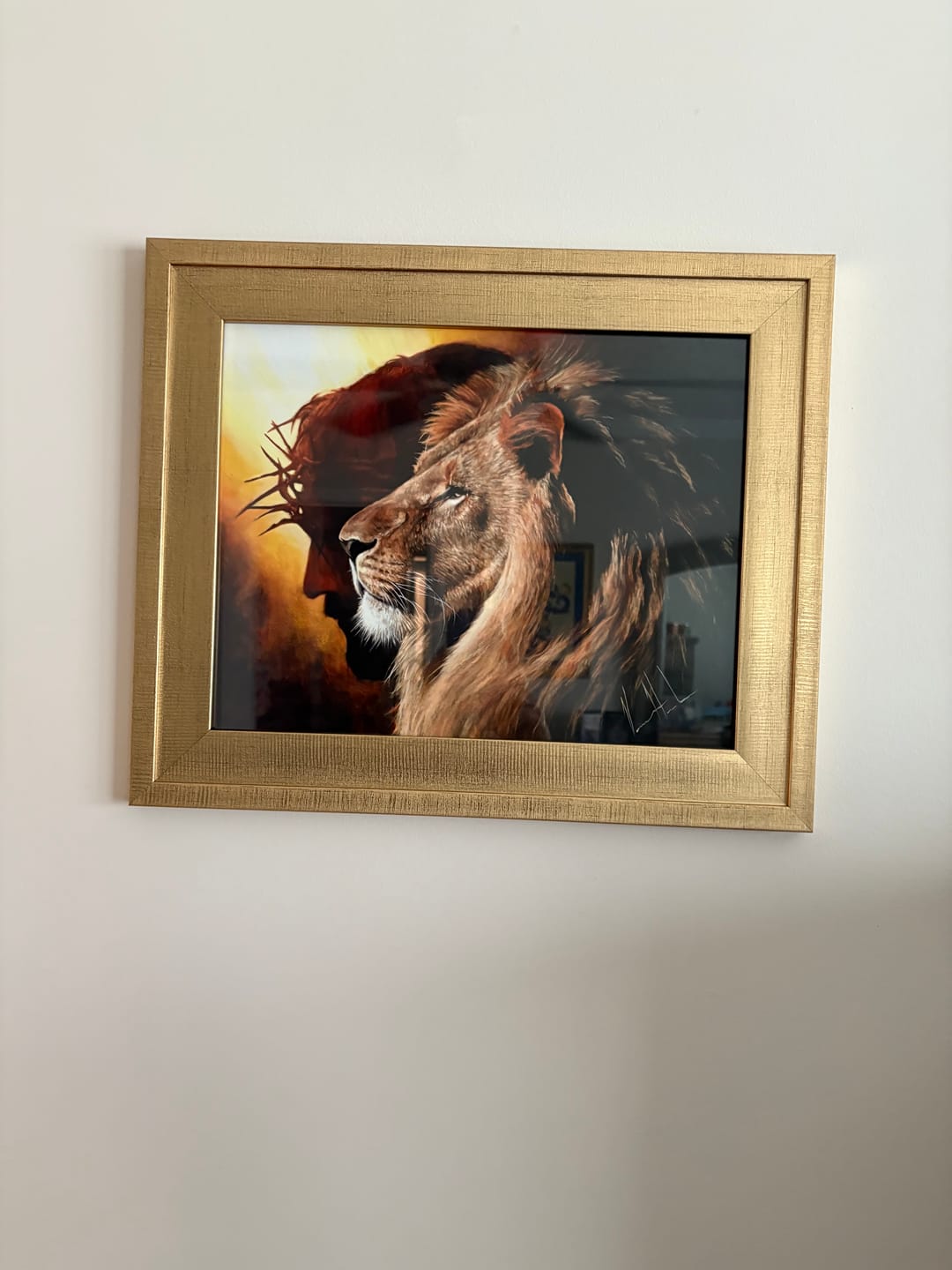 Customer photo review of The Lion of Judah