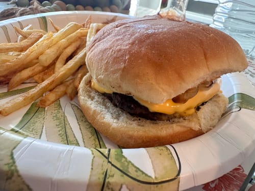 Reviewer's cooked beef burger patty in a cheeseburger served with a side of seasoned french fries on a paper plate.