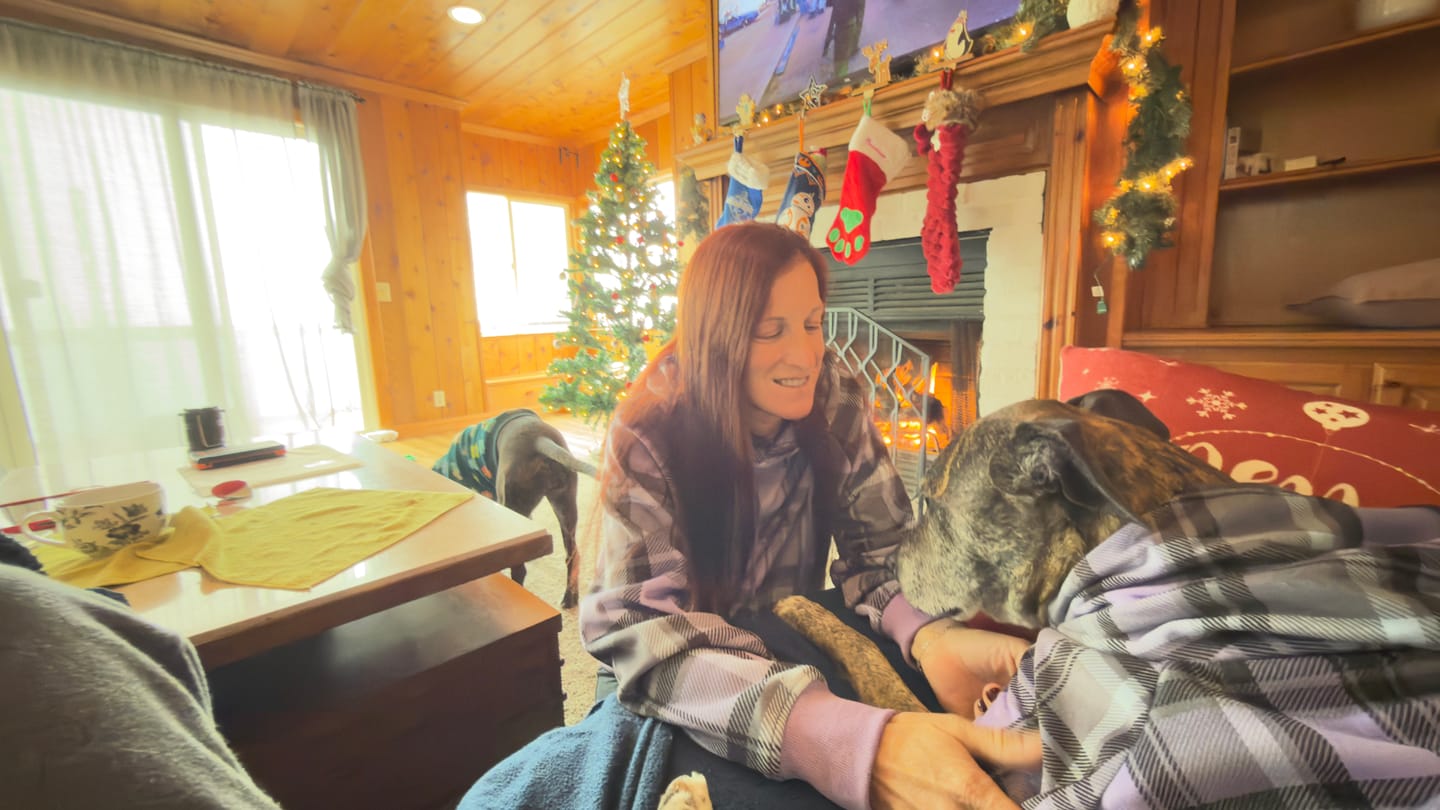 Customer photo review of Purple Plaid Human Hoodie