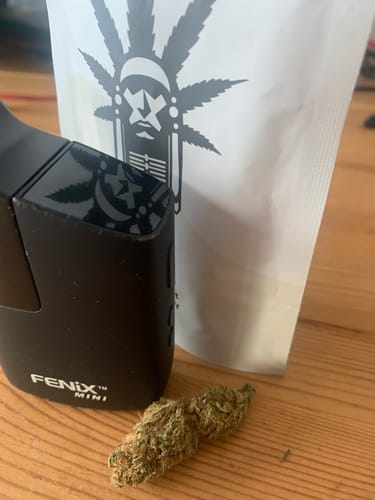 Customer photo review of Limoncello - Greenhouse