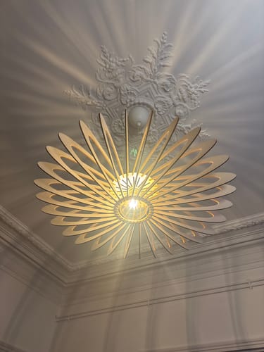 Customer photo review of NEO | Suspension