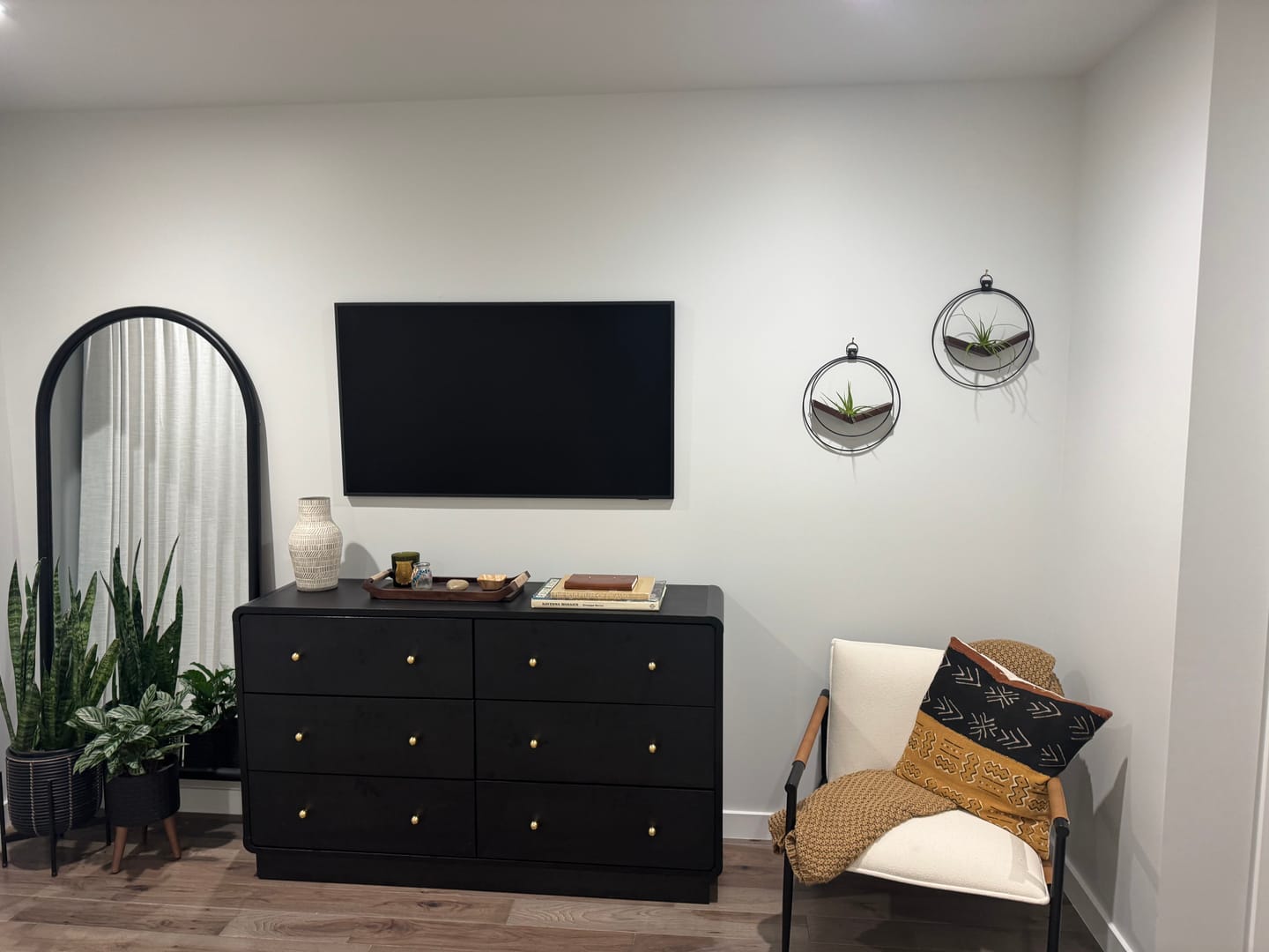 Customer photo review of Air Plant V-Hanger