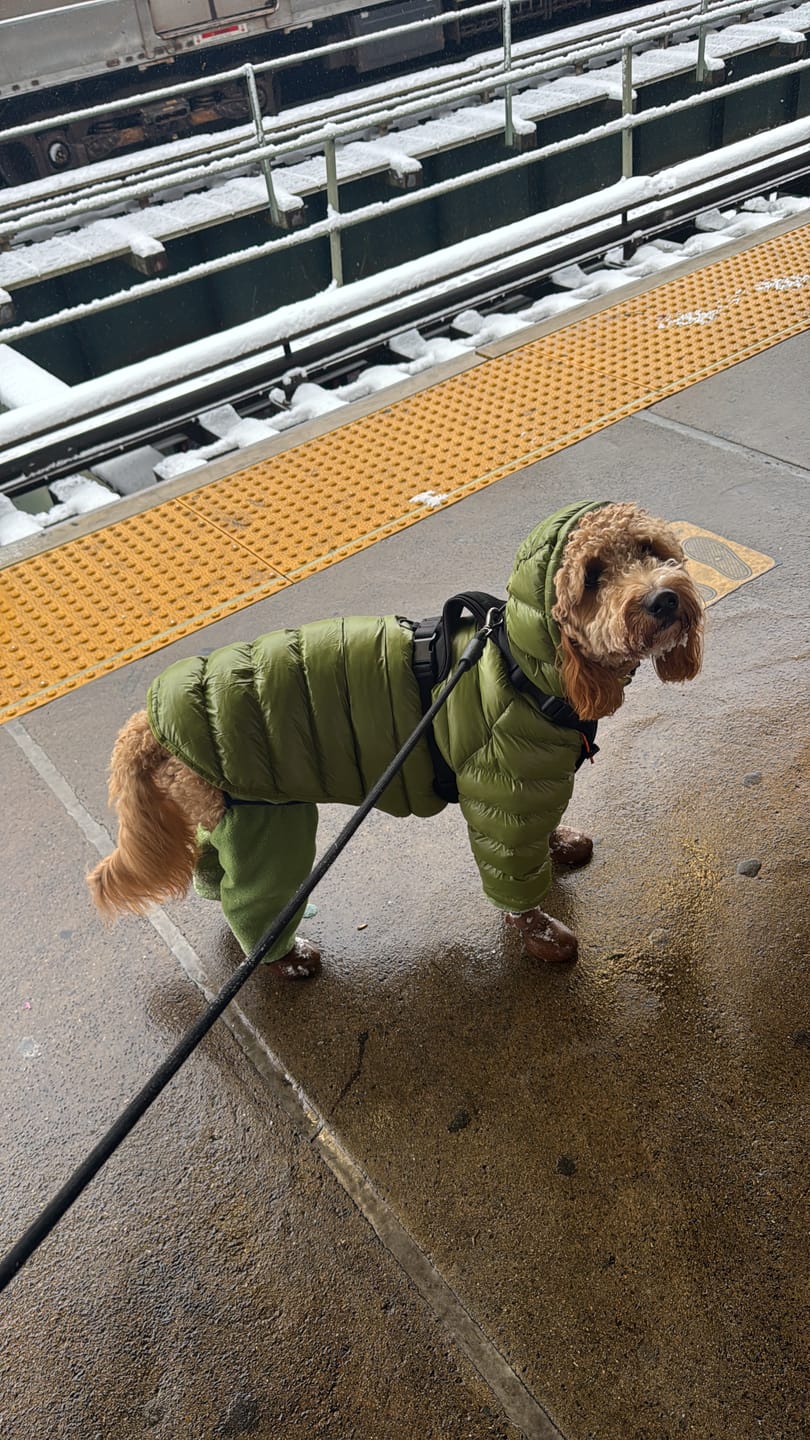 Customer photo review of NEW Fleece Pull-Over