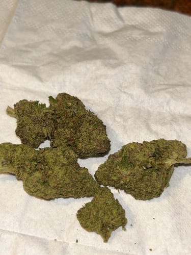 Customer's image of several dried Miracle Alien Cookies THCA flower buds on a white surface.