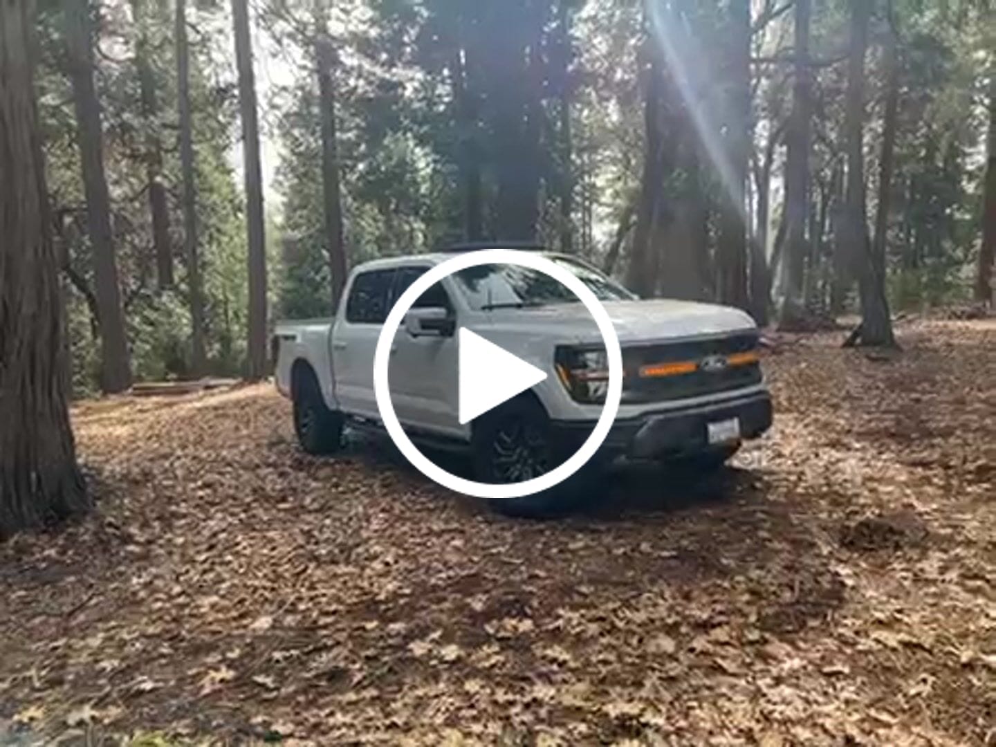 Customer video review of Smoked LED Amber Lights W/ Sequential Turn Signal For 2024+ Ford F150 Tremor
