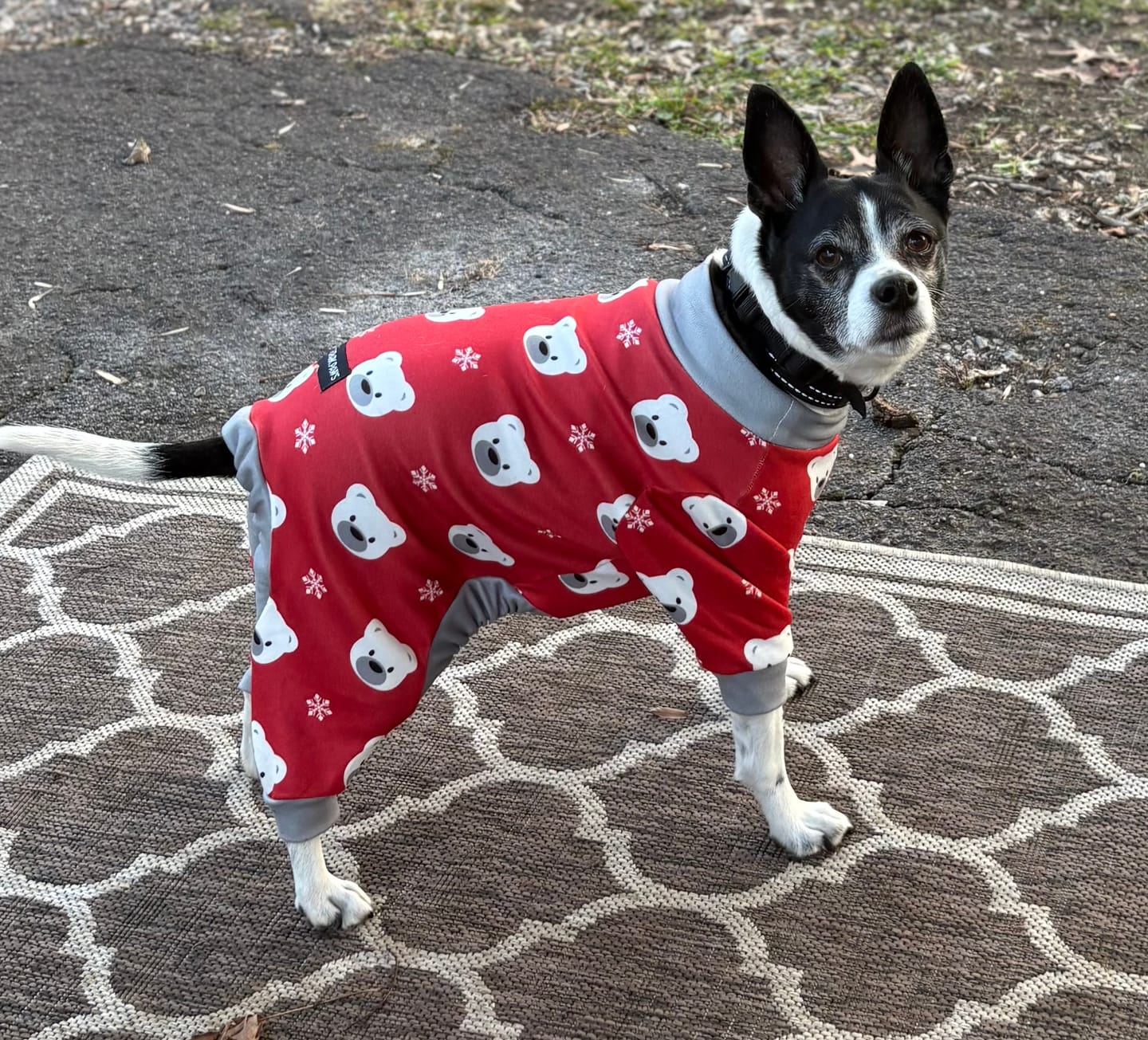 Customer photo review of Velvet Dog Hoodie - Berry Lemonade
