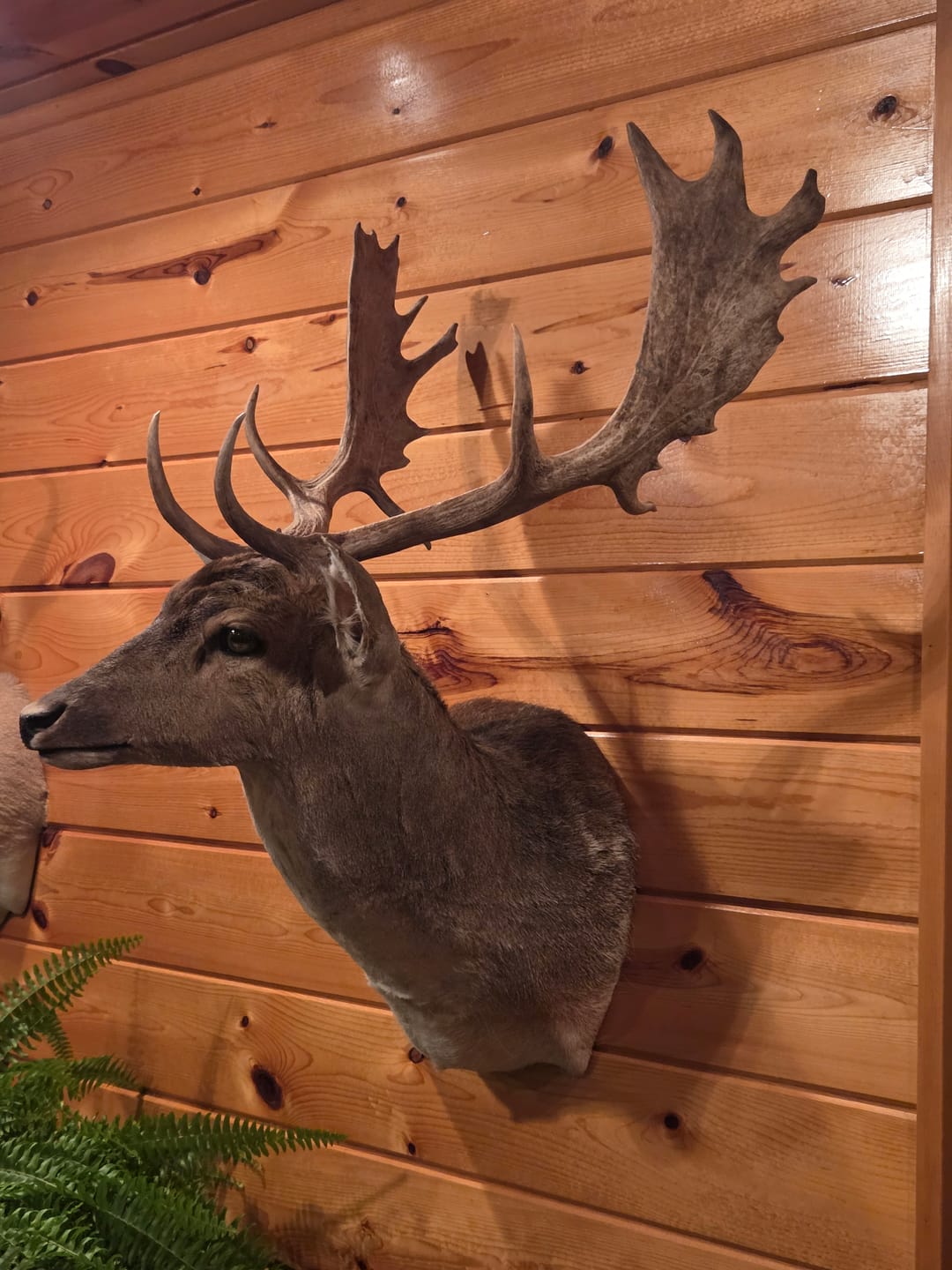 Customer photo review of Man Cave Hunting Art - Personalized Poster, Gift For Hunter