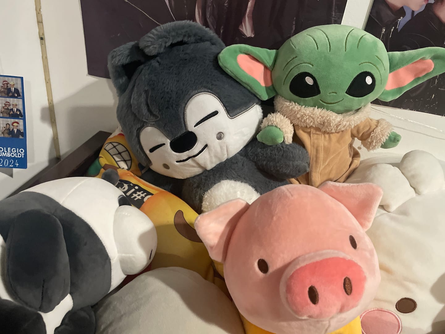 Customer photo review of SKZ Teddybear Plush