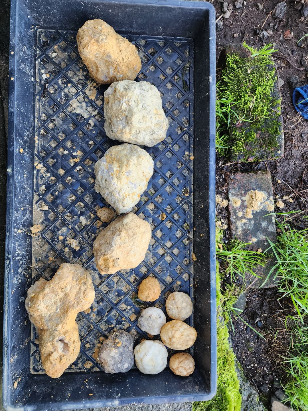 Customer photo review of Gallon Bucket of Quartz Geodes