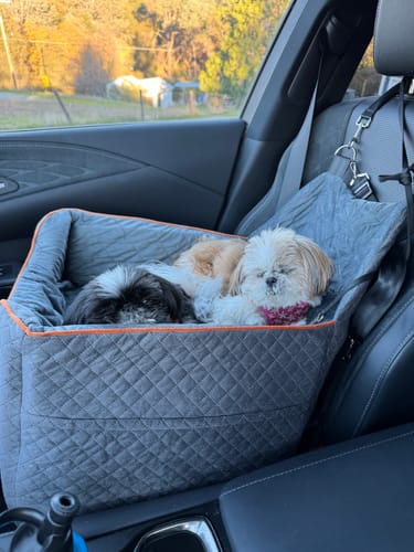 Customer photo review of RuffRover - Plushy Booster Seat