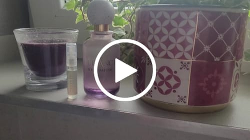 Customer video review of Guidance