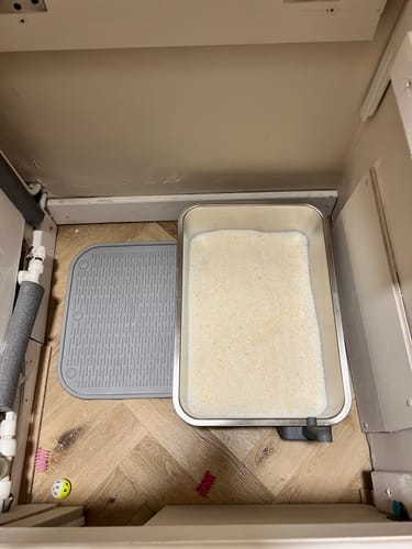 Customer photo review of 3 Month Supply - 2 Cats