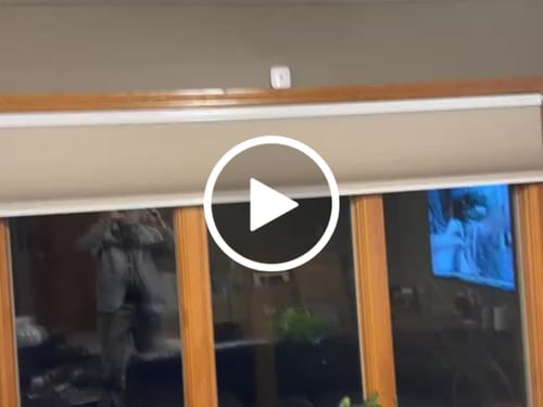Customer video review of SmartWings Motorized Light Filtering Cellular Shades Nowa