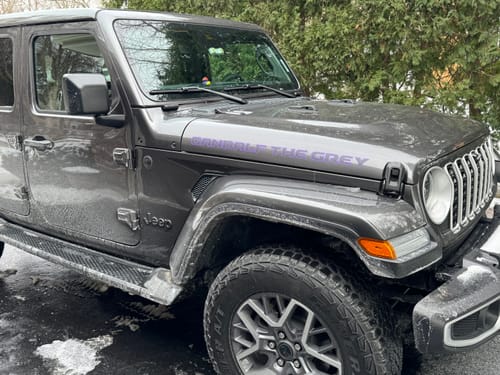 Customer photo review of Custom Hood Lettering | Set of 2
