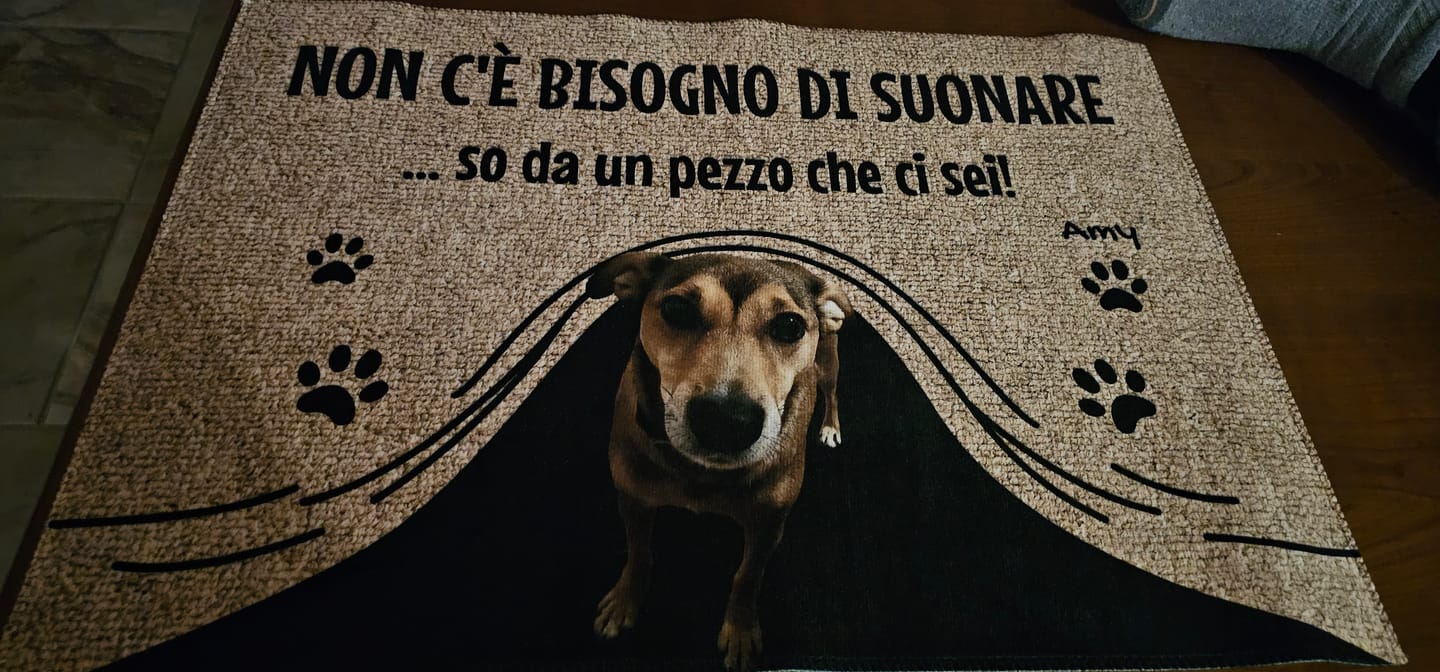 Customer photo review of Non c'è bisogno di suonare - Zerbino personalizzato
