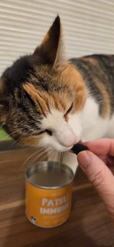 Customer photo review of Patsli® Immune