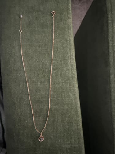 Customer photo review of [November Birthstone] Debon D.D Silver Necklace