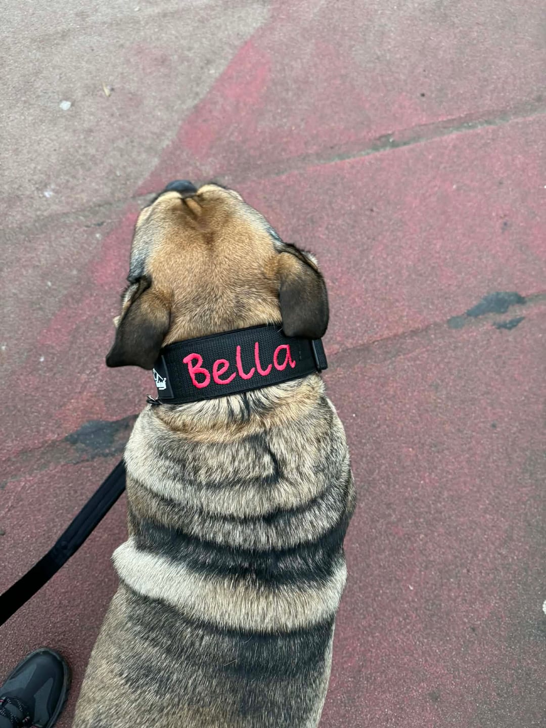 Customer photo review of Smycz przepinana z dodatkową raczką - Multi Guard Leash Black Edition Czarna