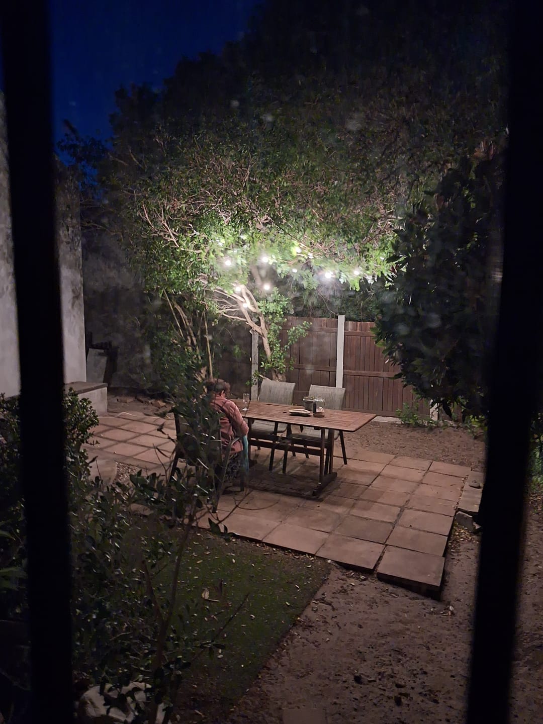 Customer photo review of Plug-In Mini Bulb String Lights
