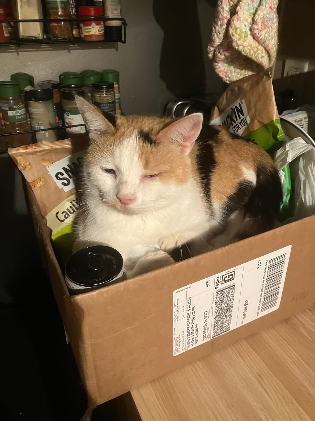 Customer photo review of Cat Eye Infection & Vision Support Remedy