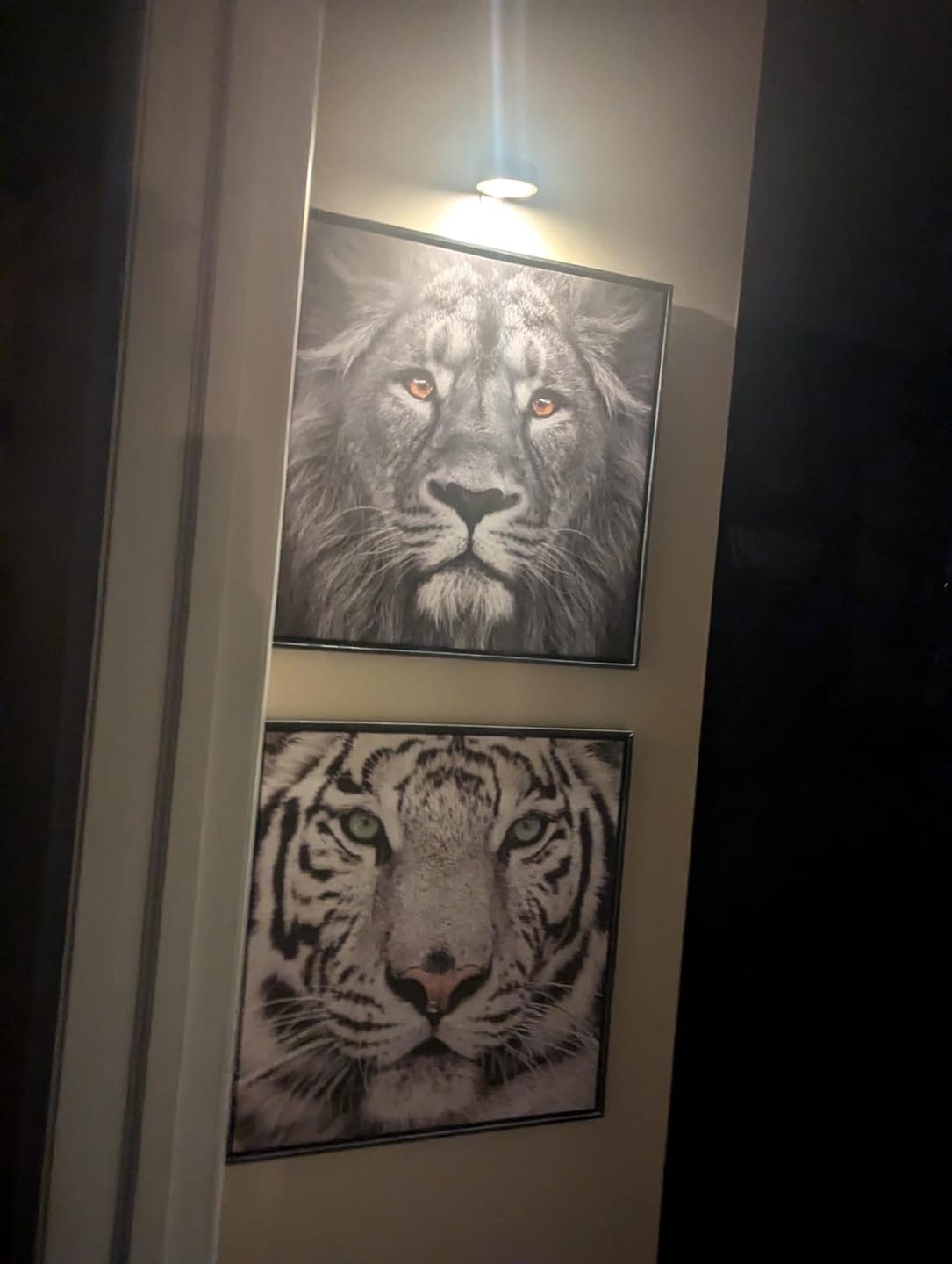 Customer photo review of LightsCordless™ Rechargeable Picture Light - Illuminate Your Art Wirelessly